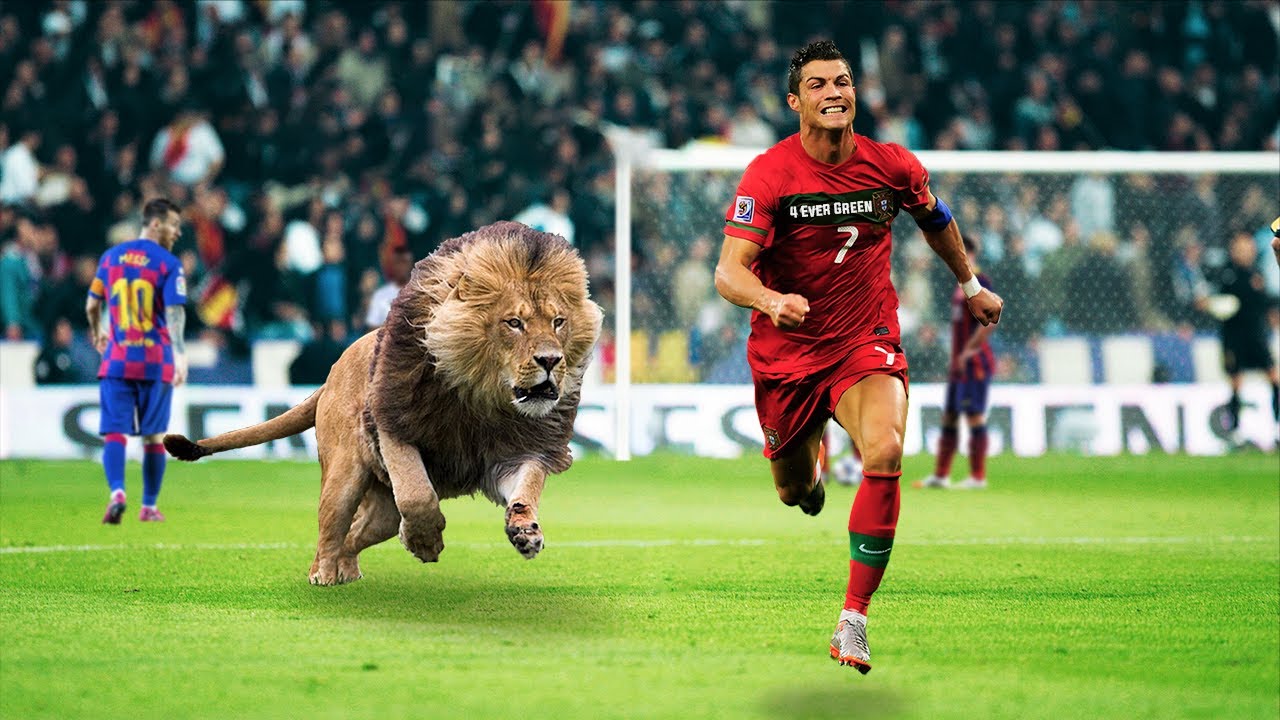 Preview The Wild Side of Sports: Memorable Animal Interruptions on the Field