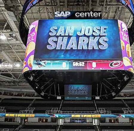 Совет Сан-Хосе одобрил сделку, чтобы сохранить команду Sharks в городе до 2051 года