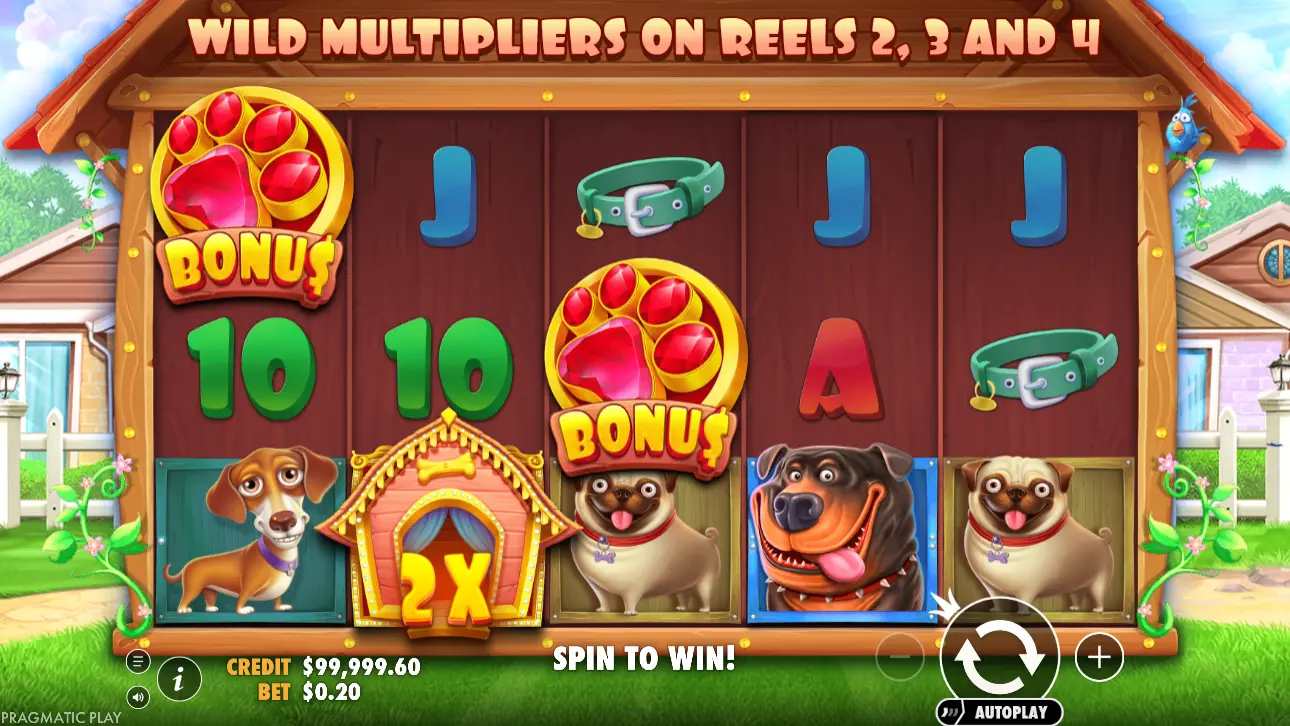 1Win Dog House Where Classic Slots Meet Modern Innovation 1Win Dog House Where Classic Slots Meet Modern Innovation
