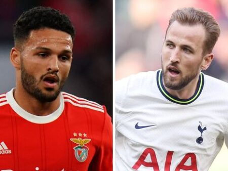 Harry Kane’s Bayern Goal Paved the Way for Goncalo Ramos’s PSG Decider Against Barcelona