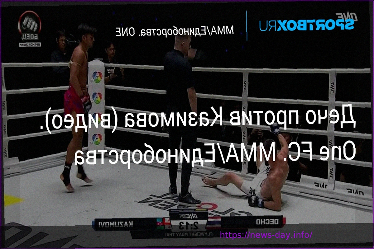 Preview Decho vs. Kazimov – One FC MMA Fight Video