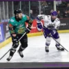 Elite League: Giants’ Title Hopes Delayed by Clan; Panthers & Devils Close Gap