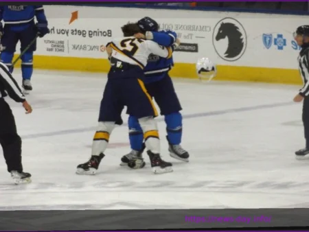 Icemen Gain Ground in Standings with 2-1 Win Over Greenville