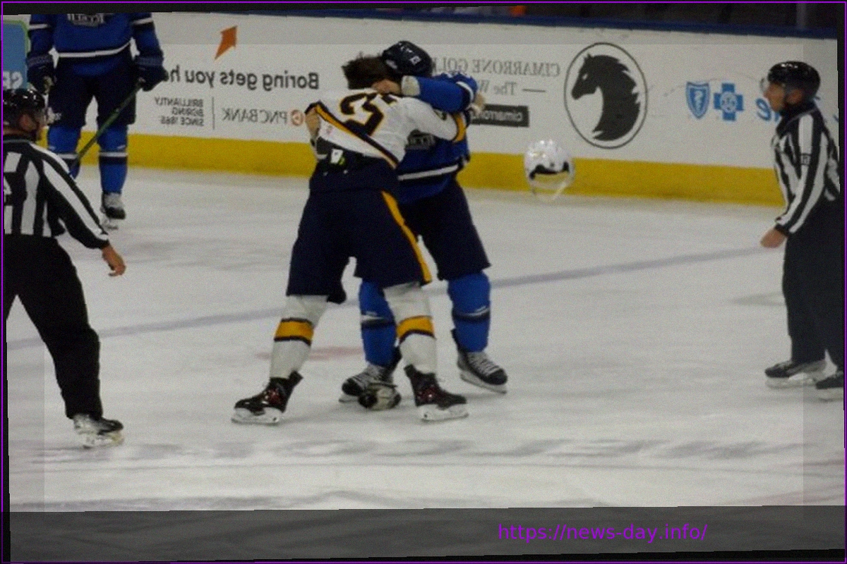 Preview Wichita’s Homecoming Hockey Game Ends in Defeat Against Kansas City