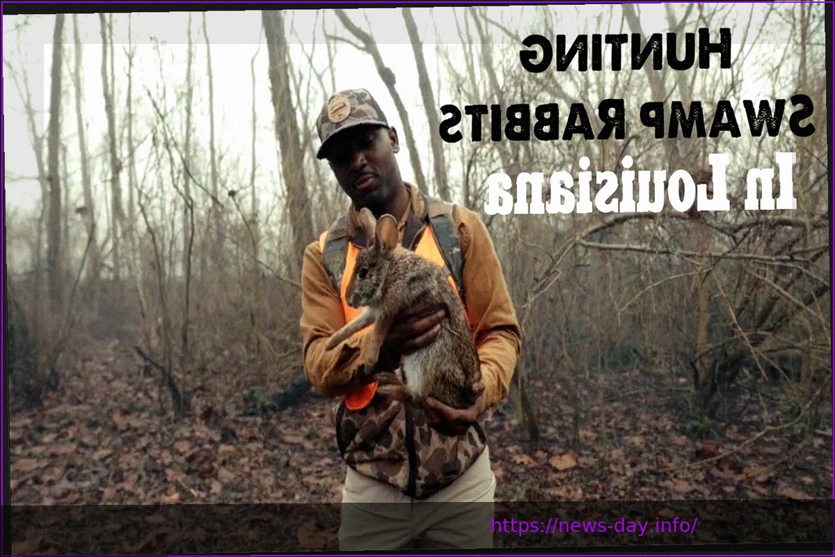 Preview Greenville Swamp Rabbits’ Late Comeback Falls Short Against Jacksonville Icemen