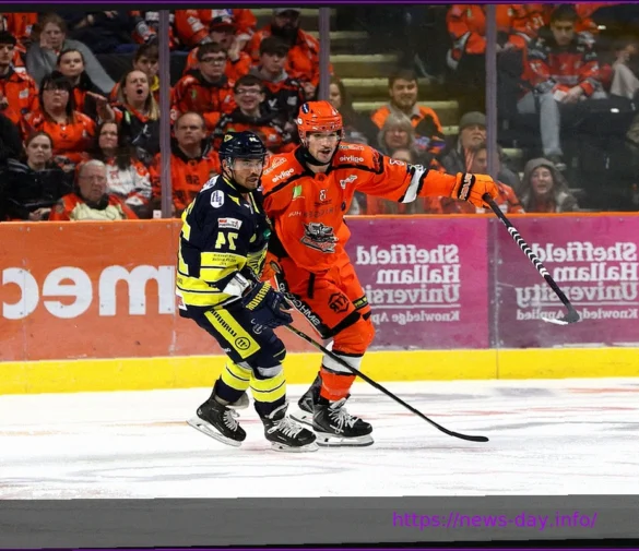 Belfast Giants Eye EIHL Title on Full Saturday Schedule