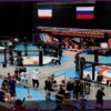 Annual Mixed Martial Arts (MMA) Tournament of the Republic of Crimea: Kamenev R.M. Cup
