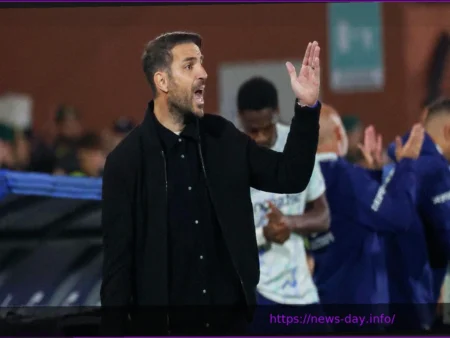 Como & Fabregas: Continuiamo a spingere per portare il Como sempre più su