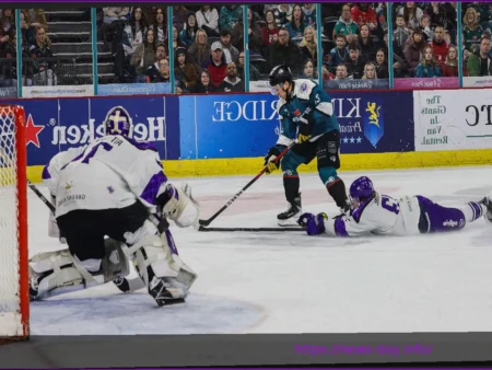 Elite League Team of the Week: Playoff Quarter-Finals