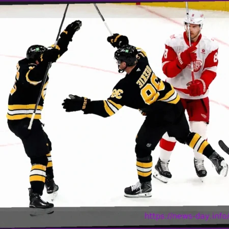 Bruins Outscore Amerks 6-3