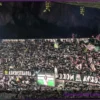 Palermo vs. Cesena: Over 22,000 Tickets Sold for Serie B Clash