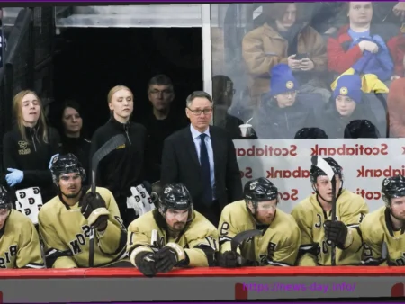 Glasgow Clan’s Coach Search: Don’t Overcomplicate It