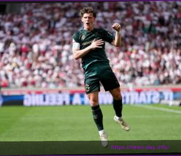 Jens Stage: Werder Bremen’s Midfield Dynamo