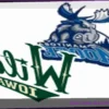 Iowa Wild Triumphs Over Manitoba Moose in Overtime Thriller