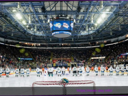 Где посмотреть финальные выходные плей-офф EIHL