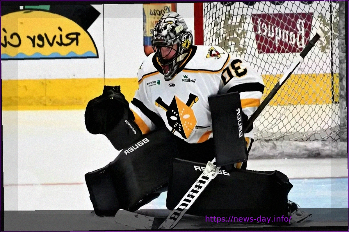 Preview Yaniv Perets of Reading Royals Named ECHL Goaltender of the Week