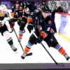 San Diego Gulls Suffer 5-1 Defeat Against Tucson Roadrunners