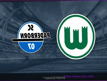 Live Stream: VfL Wolfsburg vs. SC Paderborn 07 – Bundesliga Relegation Match