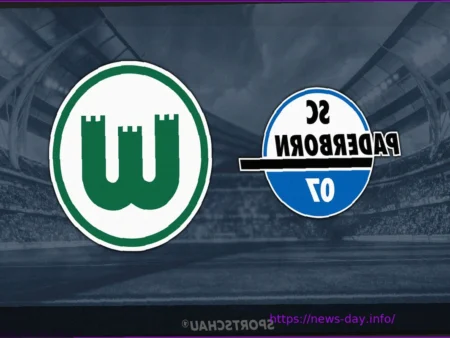 Live Broadcast: SC Paderborn 07 vs. VfL Wolfsburg – Bundesliga Relegation