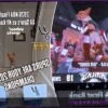 Неудачное появление Air Corgi на Финале НБА обернулось против фанатов Spurs