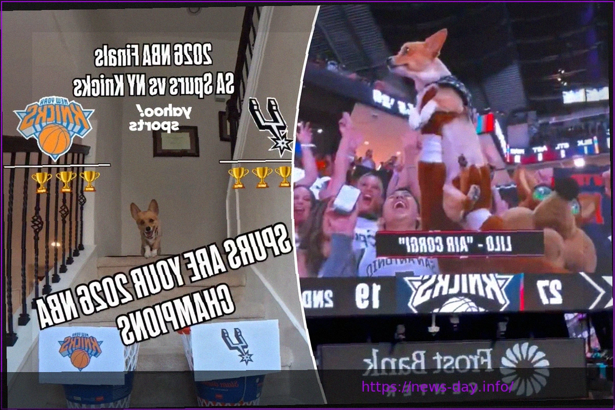 Preview Неудачное появление Air Corgi на Финале НБА обернулось против фанатов Spurs