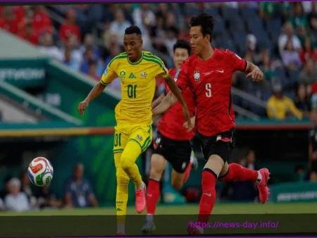 DIRECT. Afrique du Sud-Corée du Sud: les Bafana Bafana marquent, et rêvent des 16es